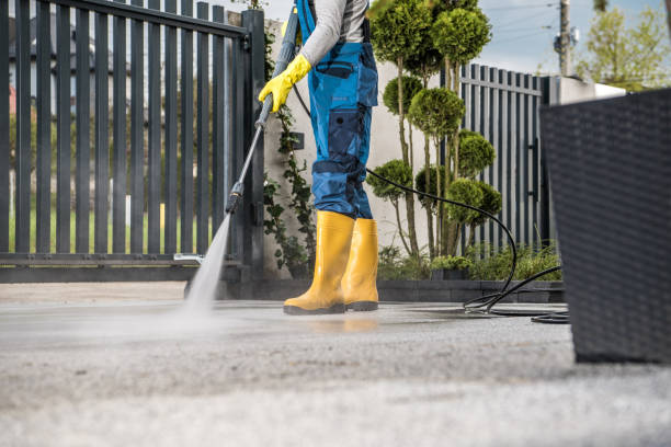 Best Exterior Home Cleaning  in East Quincy, CA